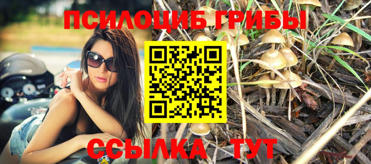 Златоуст  Псилоцибиновые грибы мицелий  сколько стоит  Вход с VPN 